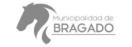 soluciones de seguridad municipalidad de bragado