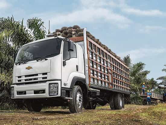 protección de vehículos y logística 4